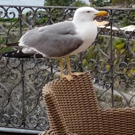 Porta Rossa مانارولا